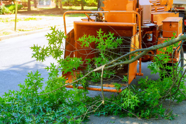 Best Emergency Tree Removal  in Council Grove, KS